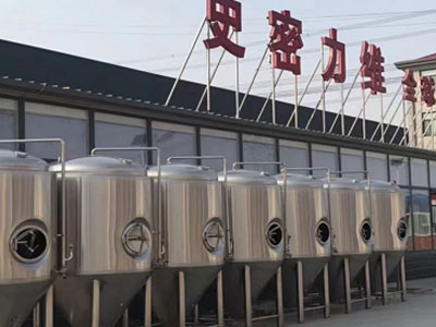 河北精酿啤酒设备厂—如何判断精酿啤酒设备的密封件需要更换？